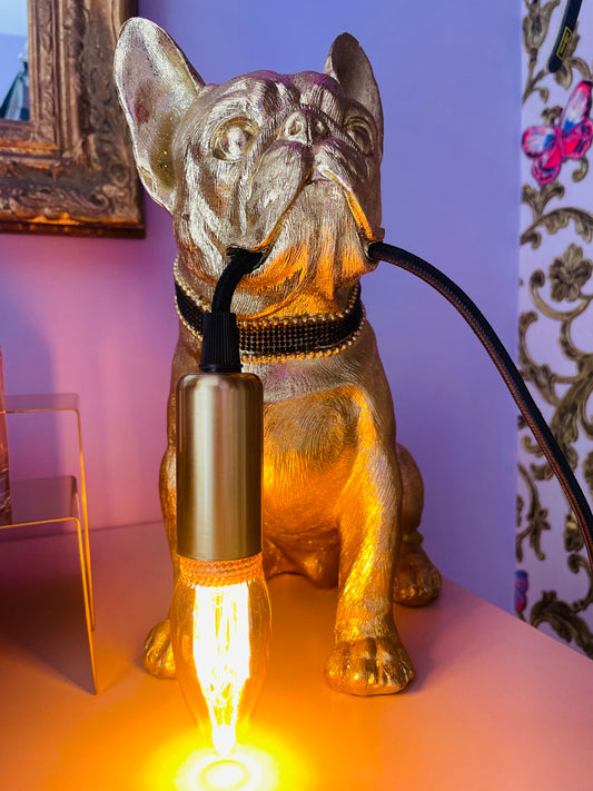 LAMPADA BULLDOG