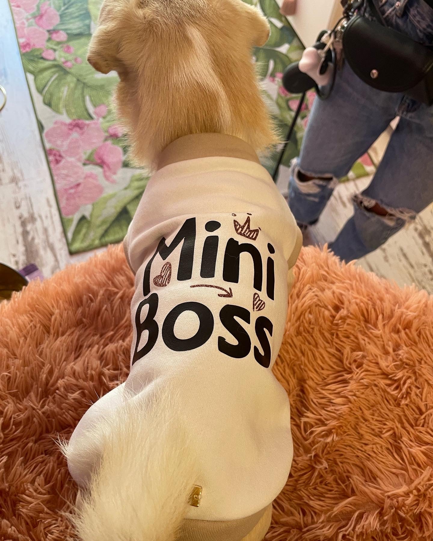 Mini Boss 💕