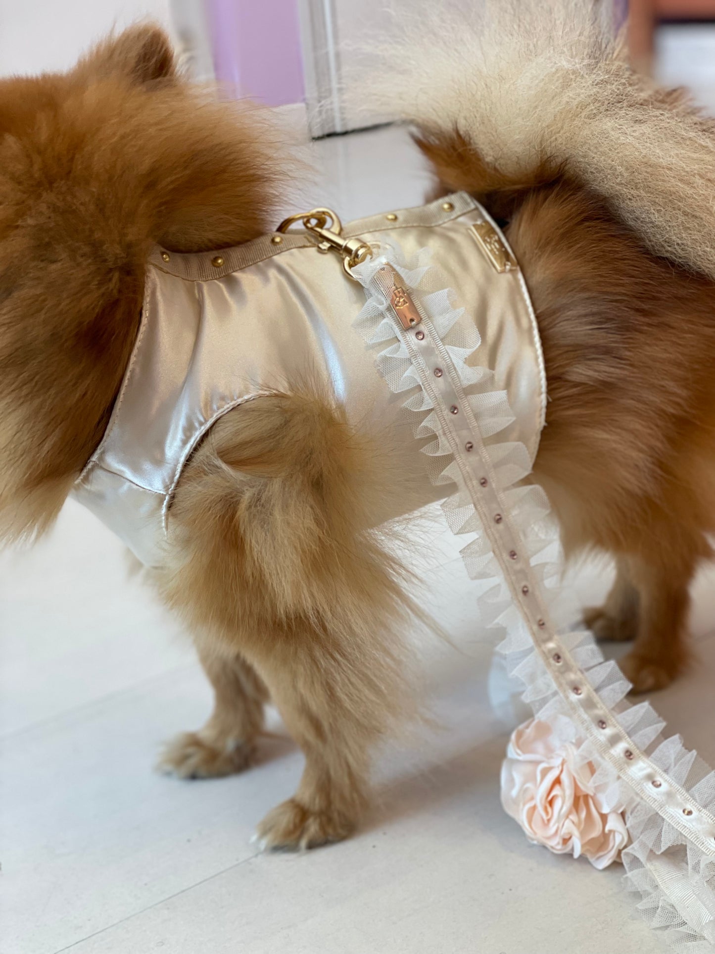 Gold Harness